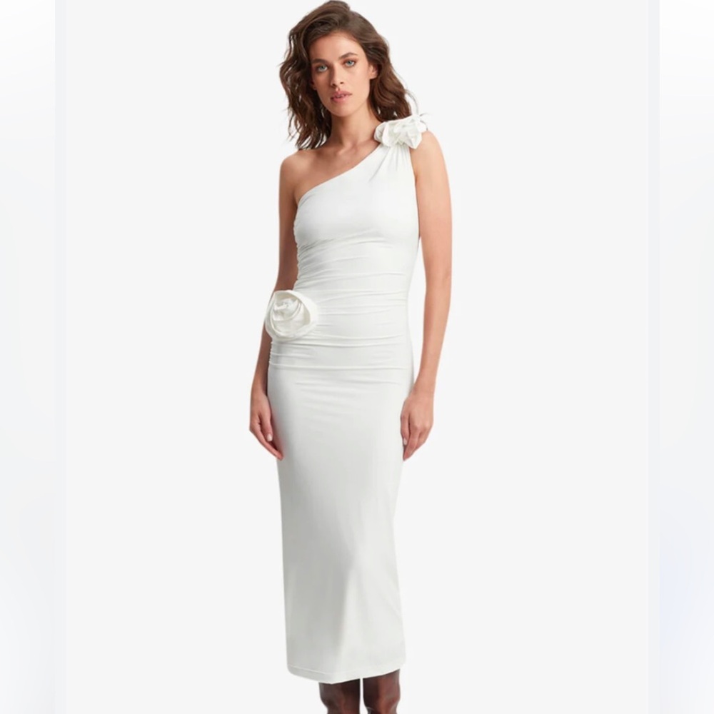 NWT Bardot Dress